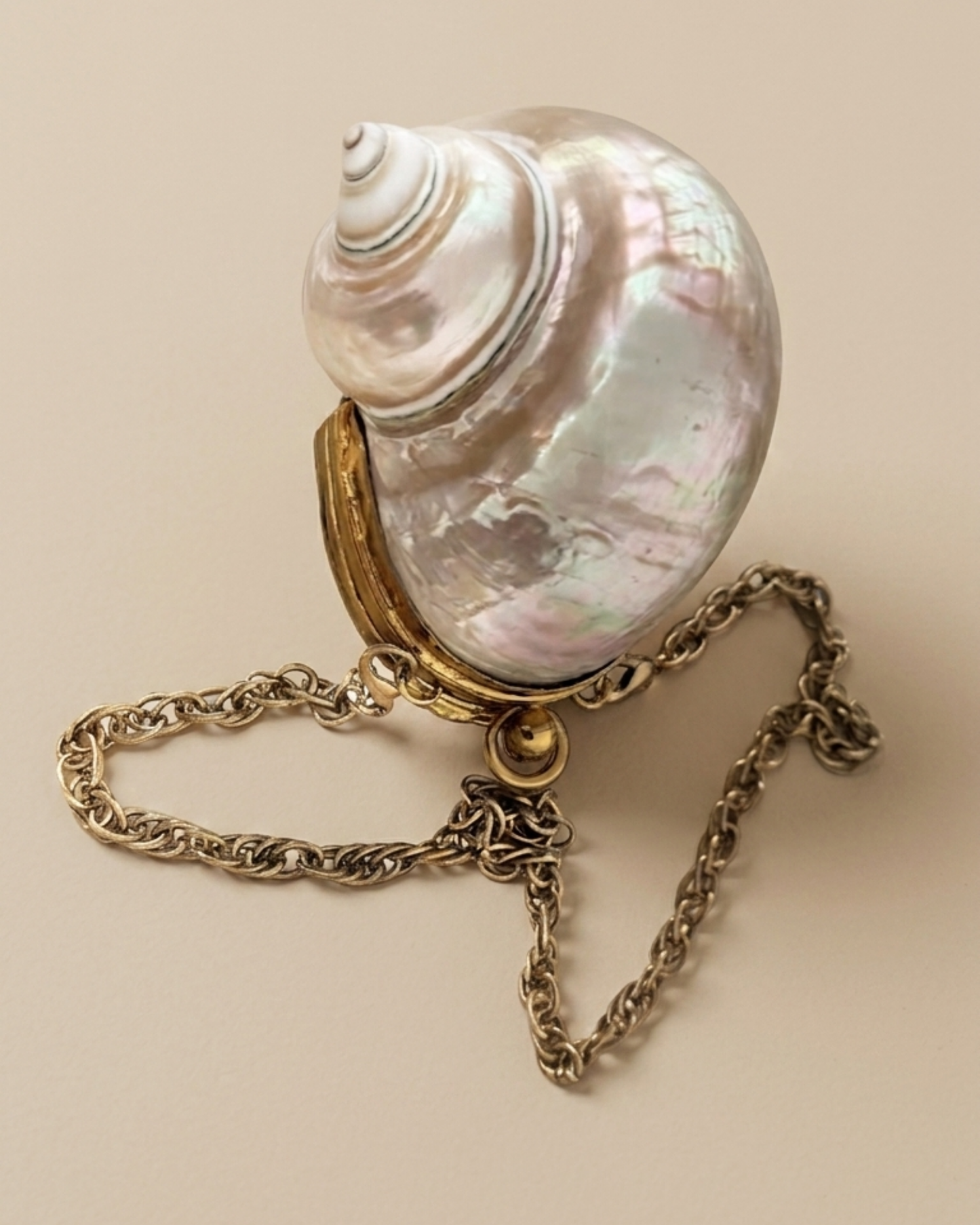 The Volute