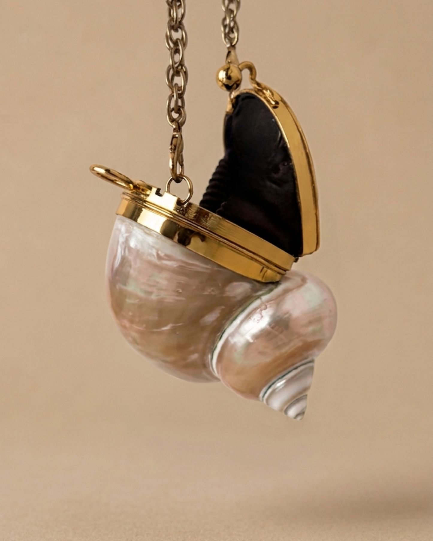 The Volute